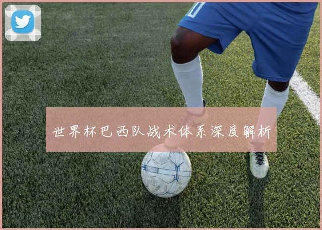 世界杯巴西队战术体系深度解析