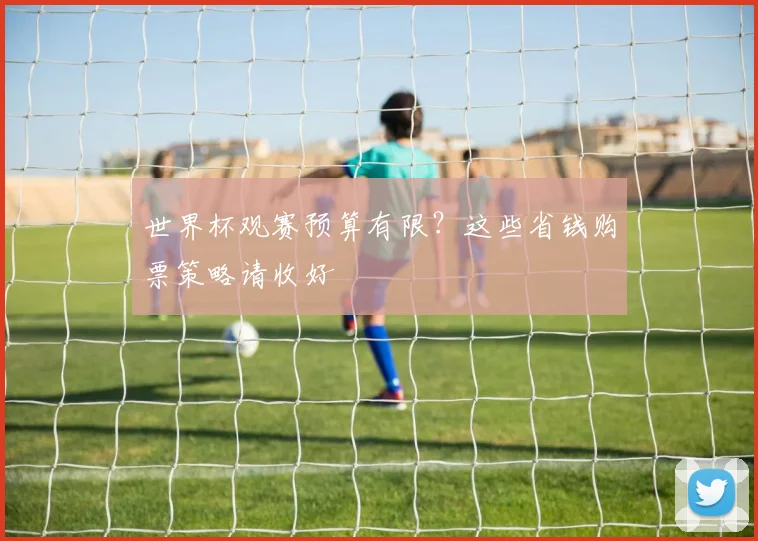 世界杯观赛预算有限?这些省钱购票策略请收好