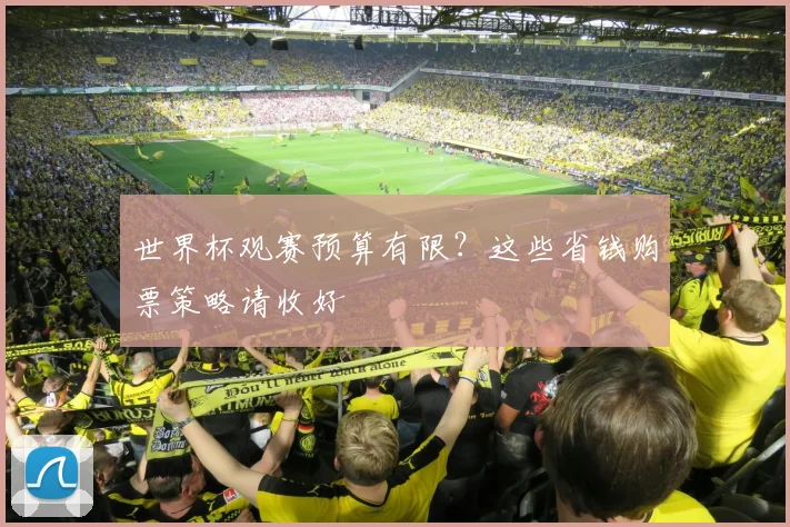 世界杯观赛预算有限?这些省钱购票策略请收好