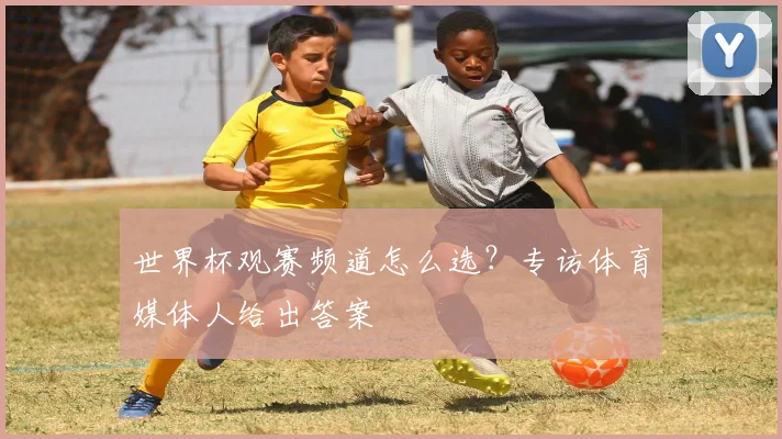 世界杯观赛频道怎么选?专访体育媒体人给出答案