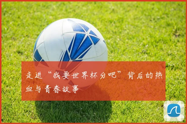 走进“我要世界杯分吧”背后的热血与青春故事